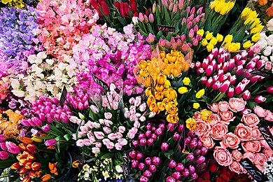 《黎明行者之血》首批细节 已用虚幻5开发两年