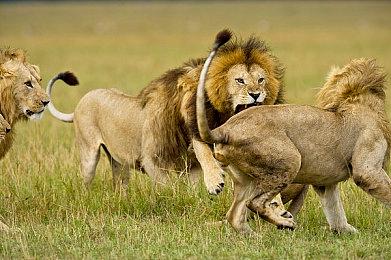 《暗影之门2》Steam页面上线 经典迷宫冒险名作续篇